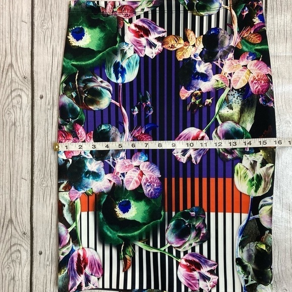 Clover Canyon Night Matador Stripe, Floral Pencil Skirt - Picture 6 of 10